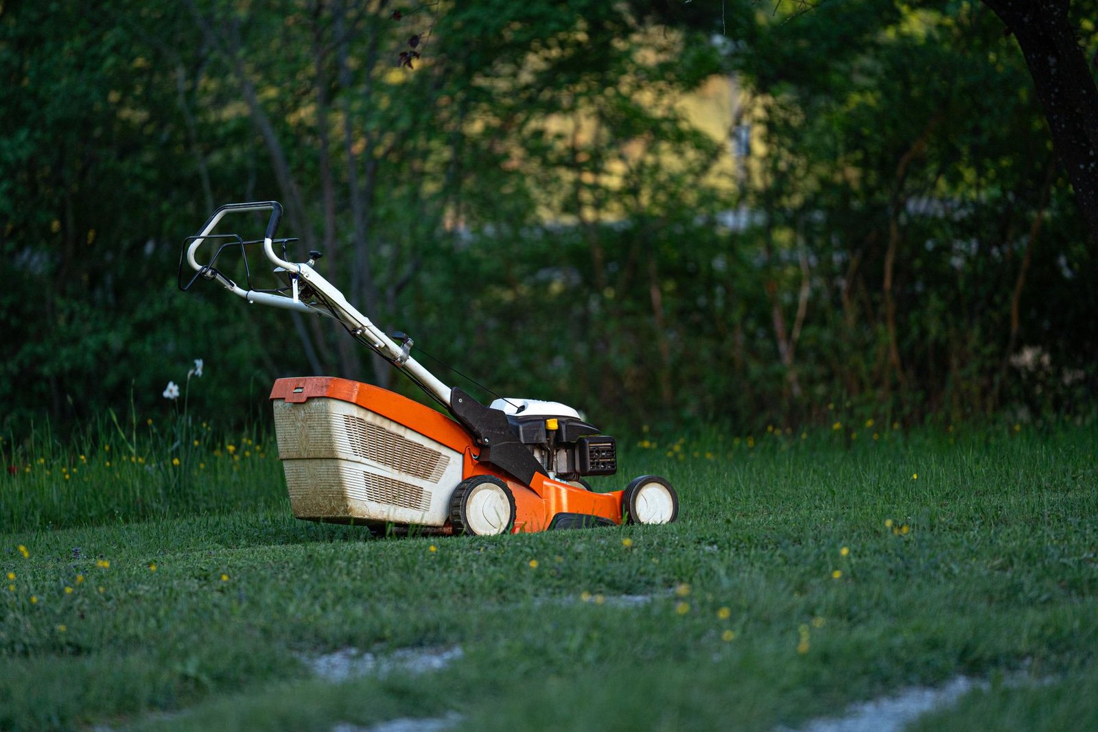 Lawn mower cutting a green residential lawn during regular weekly maintenance