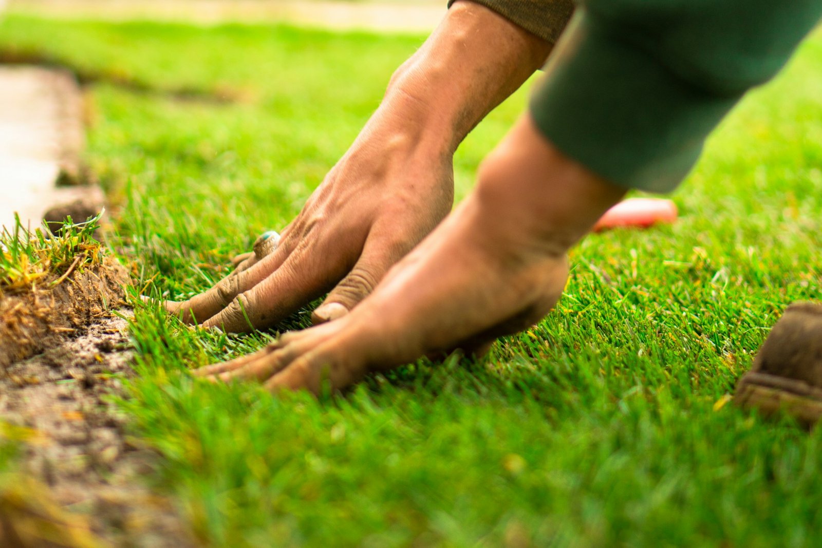 Hands pressing fresh sod into place during a residential lawn installation