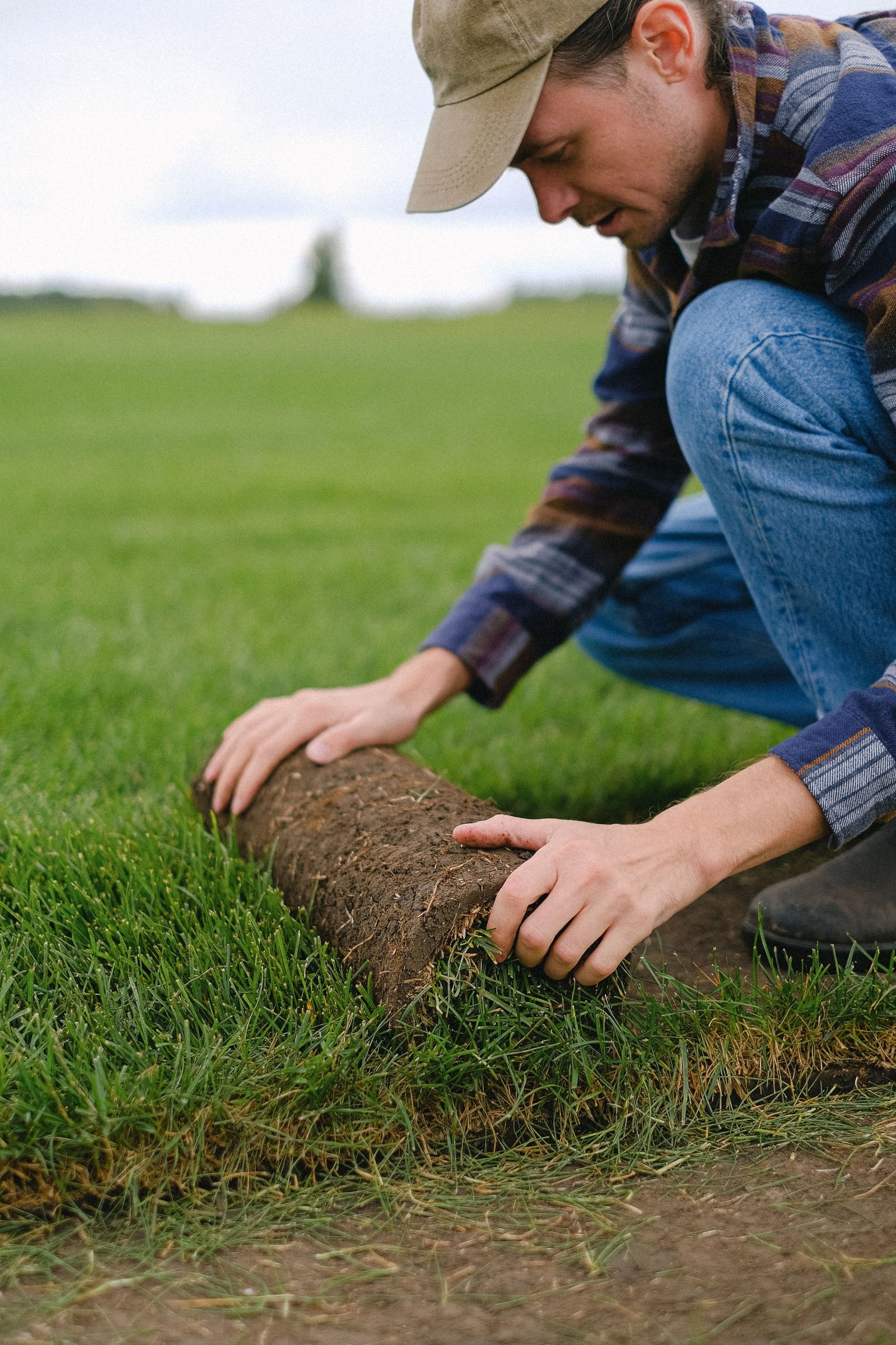 Landscaper fitting a roll of fresh sod into a prepared lawn area